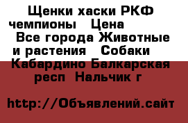 Щенки хаски РКФ чемпионы › Цена ­ 90 000 - Все города Животные и растения » Собаки   . Кабардино-Балкарская респ.,Нальчик г.